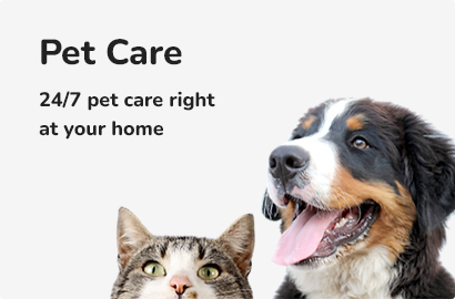 Pet Care