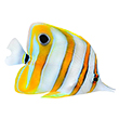 Saltwater Fish