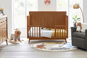 Baby & Kids Furniture